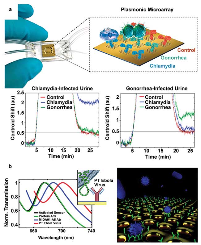 Examples of nanophotonic biosensors employed in disease diagnostics and environmental monitoring. A microfluidic-integrated nanoplasmonic biosensor was tested for simultaneous detection of Chlamydia trachomatis and Neisseria gonorrhoeae in urine samples.