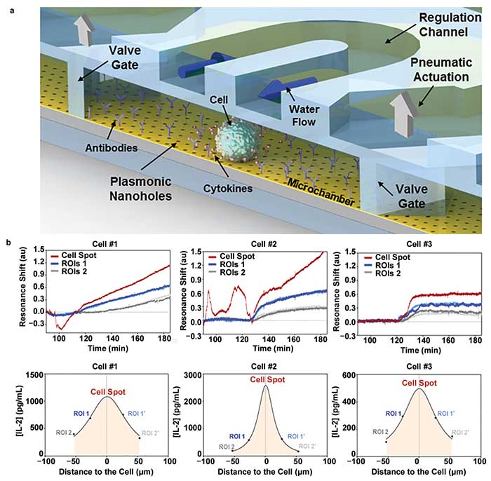 Optofluidic nanoplasmonic biosensor enables single-cell analysis.
