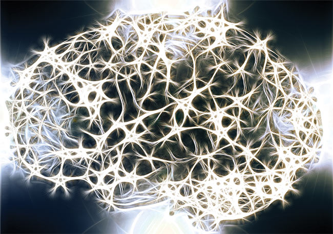 Novel Multiphoton Imaging Techniques Reveal Brain’s Secrets