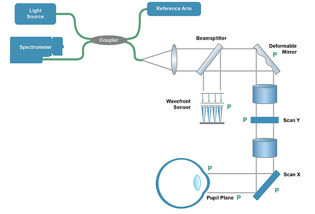 Figure 2. AO can be integrated into a typical ophthalmic OCT system via the addition of a deformable mirror for wavefront control and a wavefront sensor for active feedback, thus compensating for optical aberrations within the eye. Courtesy of Wasatch Photonics.