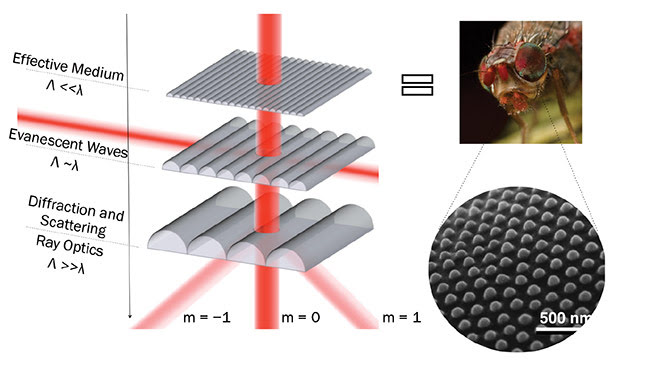 All-Diamond Metamaterial Optics