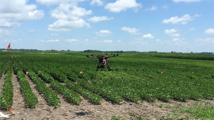 Managing Crop Stress with Machine Learning, UAVs, and Hyperspectral Imaging