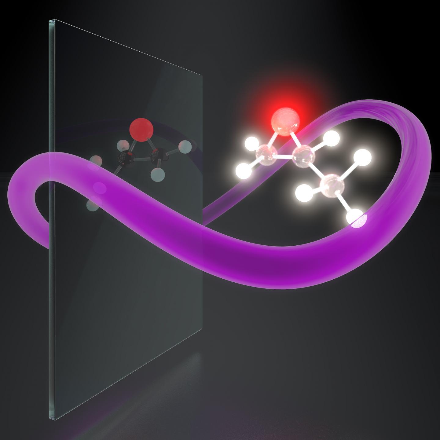 Synthetic chiral light selectively interacts with one of the two versions of a chiral molecule (left or right). The selected version responds by emitting very bright light, while its “mirror twin” remains dark. Courtesy of Steven Roberts, MBI.