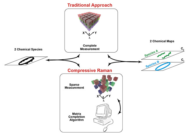  Figure 4. The workflow in traditional and compressive Raman imaging. The traditional approach requires complete measurement of the hyperspectrum for data representation reduction. In the compressive approach, this data reduction is assumed directly at the measurement level, making the measurement and the generation of the chemical maps altogether faster. 