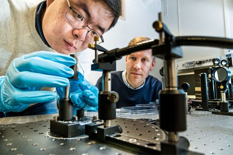 Shangzhi Chen, doctoral student (l) and Magnus Jonsson, leader of the Organic Photonics and Nano-optics group at the Laboratory of Organic Electronics at Linköping University. Courtesy of Thor Balkhed.