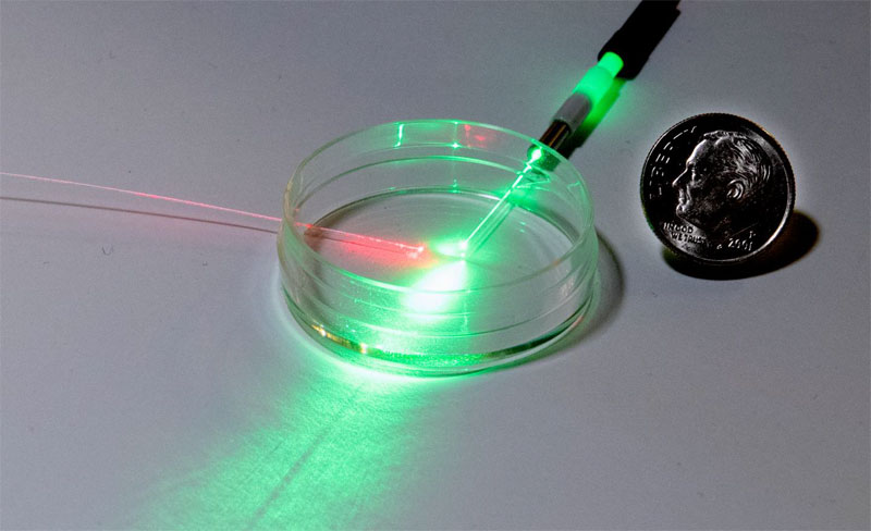 Photonic sensors using FBGs to measure pH level in cell cultures. J.L. Lee/NIST.