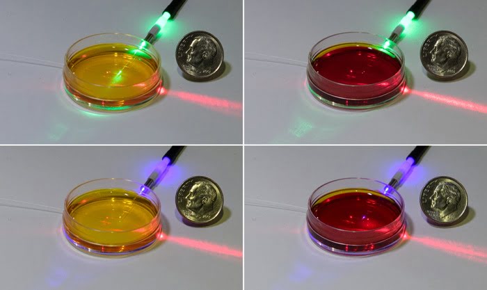 Fiber Optic-Based Sensor Measures pH Levels in Cell-Growth Environments
