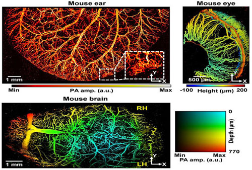 Photoacoustic Microscopy System Improves SNR and Temporal and Spatial Resolution