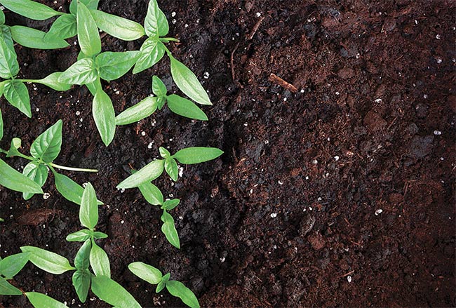 Hyperspectral Remote Sensing, Field Spectrometry Monitor Environment