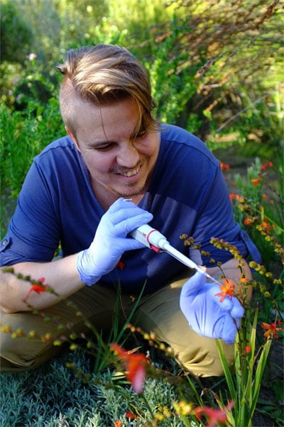 Corneile Minnaar, pollination biologist at Stellenbosch University.