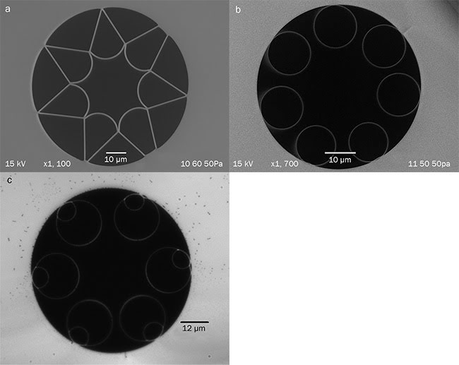Figure 2. Cross sections of functional designs of antiresonant hollow-core fibers developed at the University of Bath. Dark regions are air and lighter regions are fused silica. Courtesy of University of Bath.