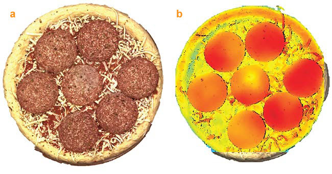 Pizza imaged by a stereo 3D color camera for quality and adherence to specifications (a, b). A false color image generated to highlight potential problems (b). Courtesy of Chromasens GmbH.