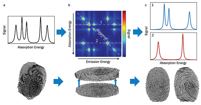 Figure 1. A one-dimensional spectrum of an unknown mixture (a). Determining the composition with simple optical techniques is analogous to analyzing overlapped fingerprints, and requires a database and substantial computing power. Using MDCS (multidimensional coherent spectroscopy), the spectrum is unfolded in two dimensions (b). The MDCS spectrum can immediately be used to generate the one-dimensional spectrum of each component of the mixture (c). Courtesy of MONSTR Sense Technologies LLC. 