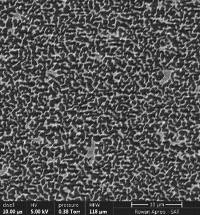 Figure 5. While the exact size and spacing of the nanoislands are random, as shown in these scanning electron microscopy (SEM) images, each mask has a general feature size that is tuned for the desired operating wavelength range. Feature size ˜1.5 µm (top). Feature size ˜100 nm(center). Feature size ˜60 nm (bottom). Courtesy of Edmund Optics.