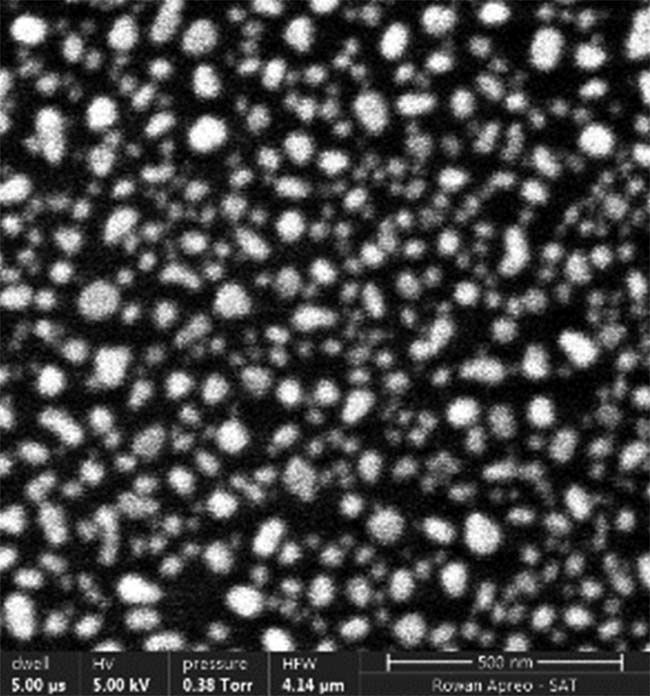 Figure 5. While the exact size and spacing of the nanoislands are random, as shown in these scanning electron microscopy (SEM) images, each mask has a general feature size that is tuned for the desired operating wavelength range. Feature size ˜1.5 µm (top). Feature size ˜100 nm(center). Feature size ˜60 nm (bottom). Courtesy of Edmund Optics.