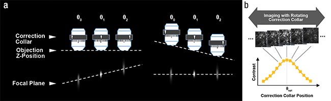 Figure 2. When conventional objective collars are rotated, the focal plane also changes (a, left). Objectives can maintain the focal plane by automatically changing the Z-position of objective according to the rotation angle (a, right). Finding the optimal correction collar angle (?opt): A contrast curve is determined by calculating the contrast value of each acquired image at various correction collar angles. The optimal correction collar position is calculated by determining the peak of this contrast curve (b). Courtesy of Hiromu Monai, Hajime Hirase, and Atsushi Miyawaki/RIKEN BSI-Olympus.