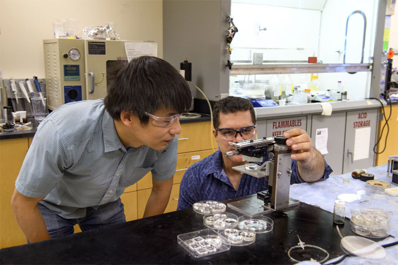 New lens manufacturing technique using liquid magnetic molds, Washington State University. Lei Li (l), assistant professor, and graduate student Mojtaba Falahati.