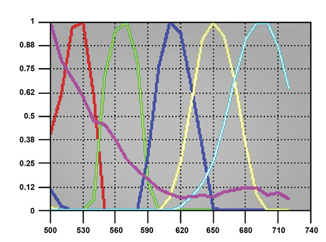 A demonstration of 5+ DAPI-plex imaging, unmixing, and display. The individual channels can be separately analyzed and spatial statistics computed as desired. Sample courtesy of Dr. Stefania Pittaluga/National Cancer Institute. Spectral analysis courtesy of Dr. Richard Levenson/UC Davis Health.