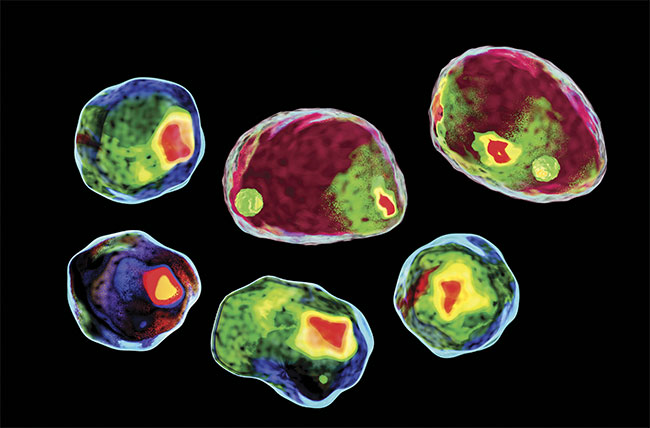 Reading Flow Cytometry Charts