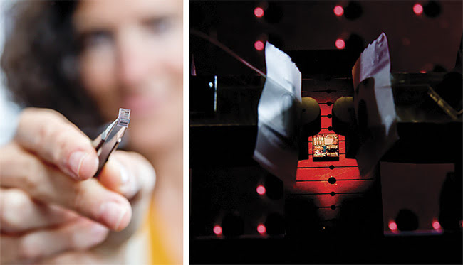 Protecting Photonic Quantum States Using Topology