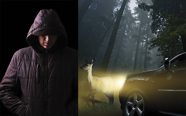(left) A person in a dark hoodie walking at night is nearly impossible to see with either the visible eye or a camera. Textiles (cotton and polyester, wet or dry, 905 nm or 1550 nm) have a lidar reflectance in the range of 30% to 60%. Courtesy of joseelias/123RF.com. (right) Wildlife is another common road hazard. The lidar reflectance of animal fur ranges from 40% to 90%, depending on color and wavelength. Courtesy of welcomia/123RF.com.