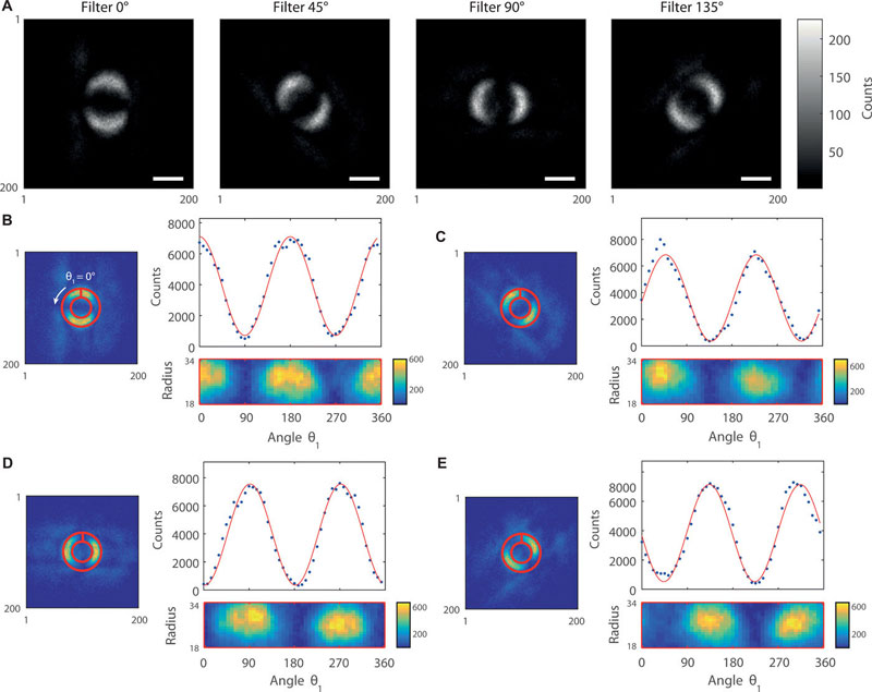 Physicists took a photograph of quantum entanglement. Courtesy of the University of Glasgow/Science Advances (2019). DOI: 10.1126/sciadv.aaw2563.