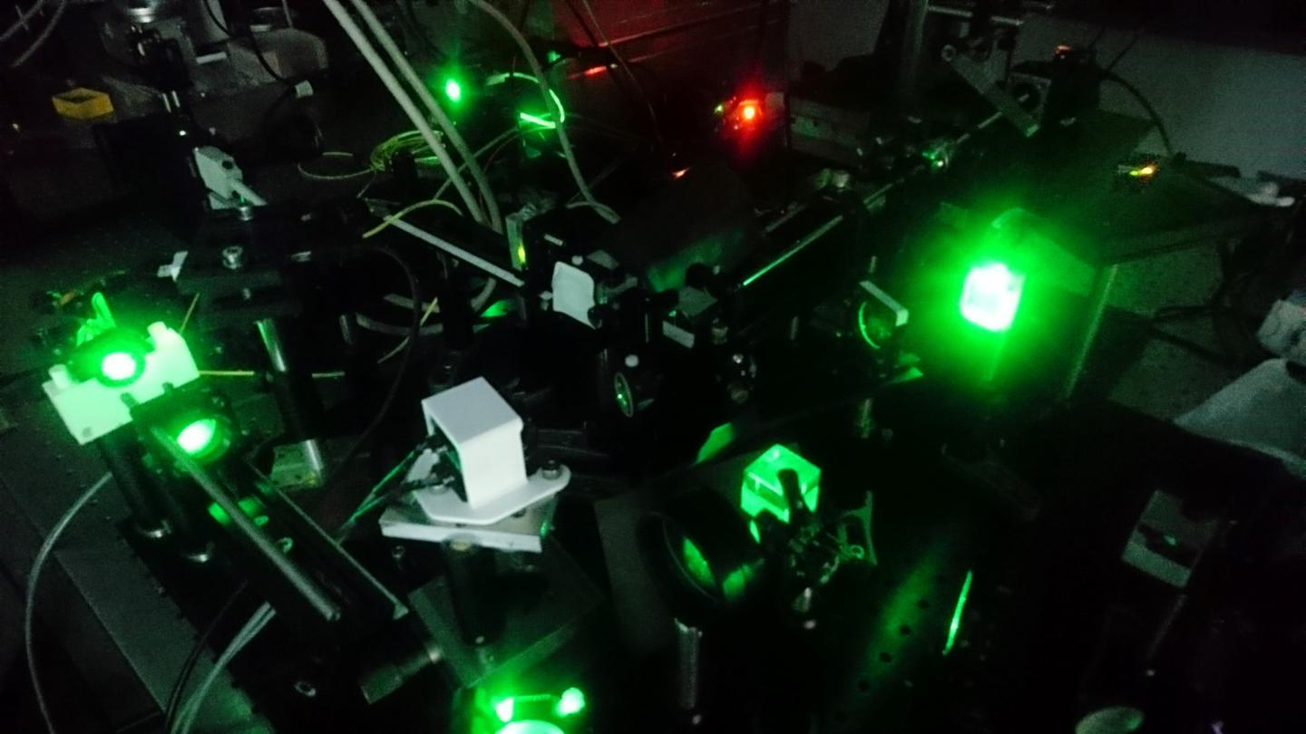 Lensless Holographic Endoscope Is Self-Calibrated