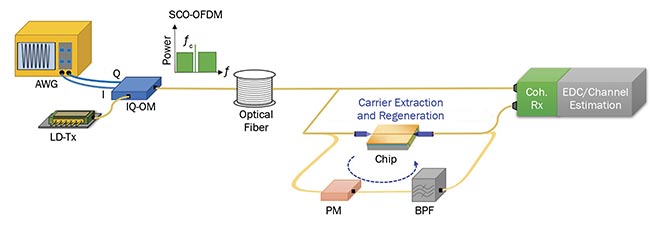 Figure 1. Transmission setup using SCO-OFDM with SBS chip-based processing. BPF: bandpass filter; LD-Tx: laser diode transmitter; Coh. Rx: coherent receiver. Images adapted from Reference 5 and courtesy of Amol Choudhary and Elias Giacoumidis.