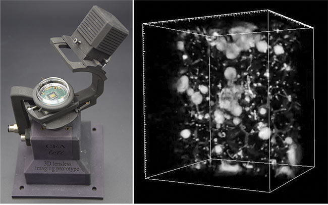 A prototype of a 3D lens-free video microscope for the monitoring of 3D cell culture. The specimen sits atop the image sensor chip (left). A 3D reconstructed volume (4.7 mm3) of a 3D cell culture of prostatic cells (right). Courtesy of CEA-Leti.