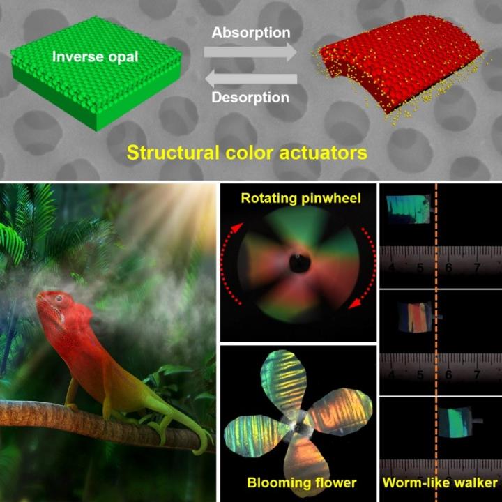 Structural Color Soft Robot Interacts with Environment