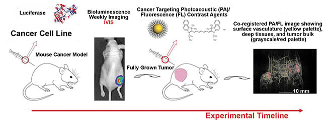 Experimental scheme for 3D in vivo lymphatic mapping and detection of regional tumor metastasis. Courtesy of PhotoSound Technologies Inc./Ultrasound Imaging and Therapeutics Research Laboratory at Georgia Tech.