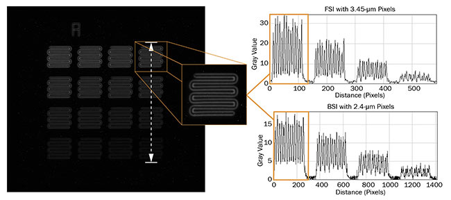 Figure 2. A persistent fluorescence carrier with 8.5-µm small structures of varying intensity was imaged under the same microscopic conditions (same optical path and lighting, and 10-s exposure) with a current BSI (Basler ace acA3088-57um, IMX178) and FSI sensor (Basler MED ace 5.1 MP, IMX250). For the FSI camera, the histogram shows nearly doubled gray values. Courtesy of Basler AG.