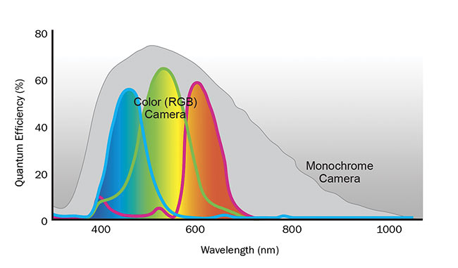  Figure 3. Because of red, green, and blue color filters on the pixels, the quantum efficiency is lower in a color camera compared to a monochrome camera. In addition, color cameras typically come with an IR-cut filter blocking light of ~650 to 700 nm upward. Courtesy of Basler AG.