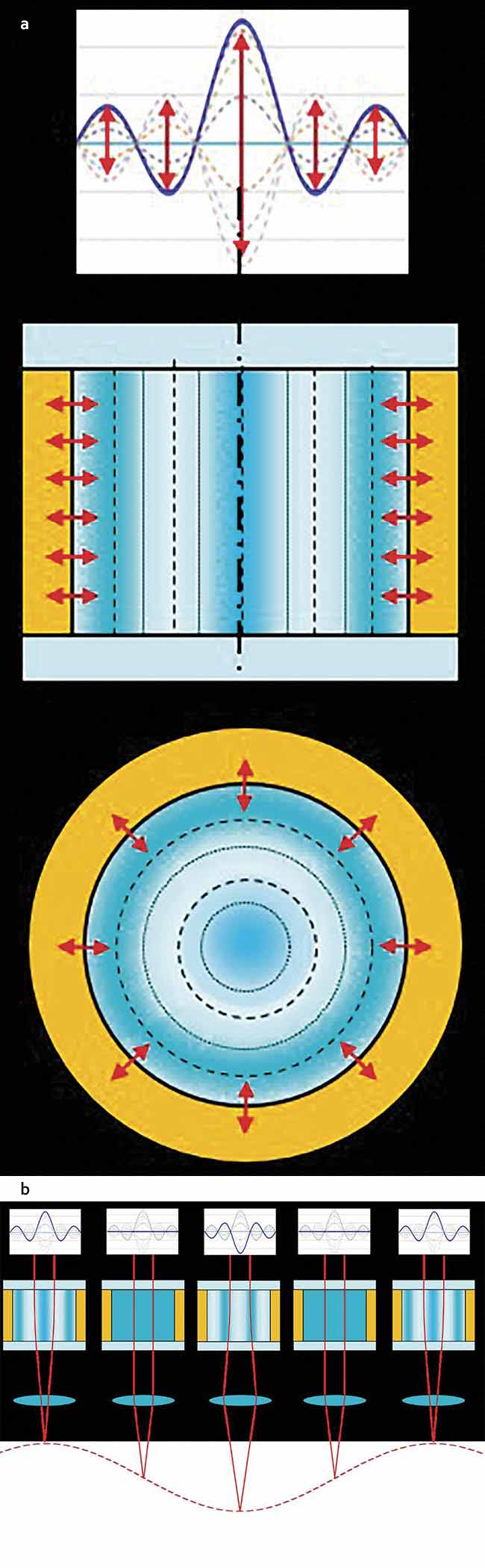 Figure 2. A TAG lens is formed by filling a cylindrical cavity with an optically transparent fluid. This type of lens samples all the focal lengths between the positive and negative extrema of the modulation (a). It can be combined with a microscope objective (b) or a different lens configuration, depending on the application. Courtesy of Mitutoyo.