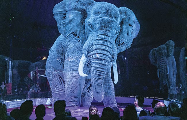 A life-size rendering of an African elephant projected on a thin veil known as a scrim. Courtesy of Flickr/Roncalli Circus/CC