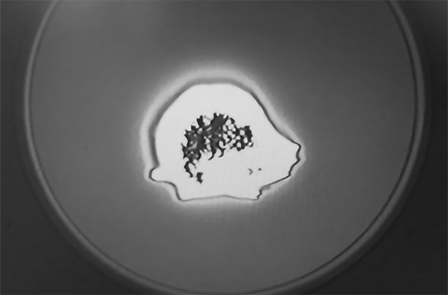 Figure 1. Laser-induced damage on an AR coating on a fiber end face. Courtesy of Fiberguide Industries.