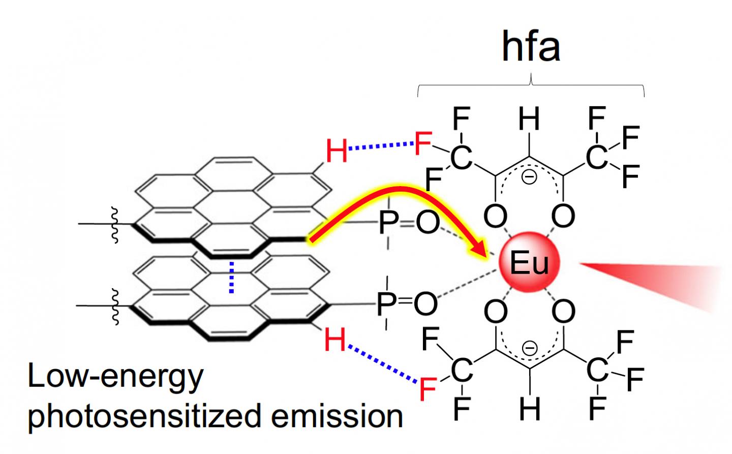 The Eu(III) complex containing the stacked nanocarbon structure. The nanocarbon structure works as an antenna to harvest light and transfer the energy to europium efficiently, which then emits red light. Courtesy of Kitagawa Y., Hasegawa Y., et al., Communications Chemistry, January 3, 2020.