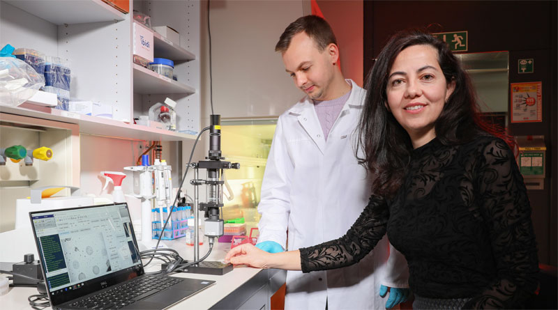 Researcher Alexander Belushkin and Hatice Altug, head of BIOS. Courtesy of Alain Herzog/EPFL 2020.