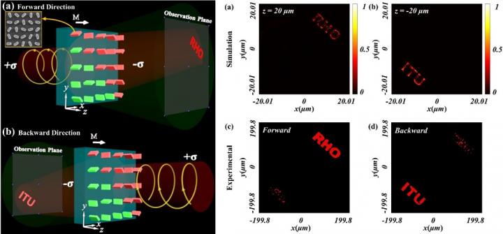 Meta-Hologram Optical Device Operates in Forward and Backward Directions