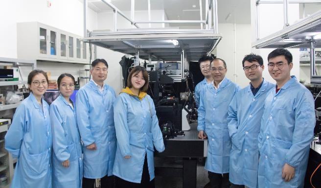A Chinese research team has developed an advanced imaging technique to achieve superresolution microscopy faster and with many fewer images. The new method could make it possible to capture processes in living cells at speeds not previously possible. Courtesy of Wang Zhongyang.