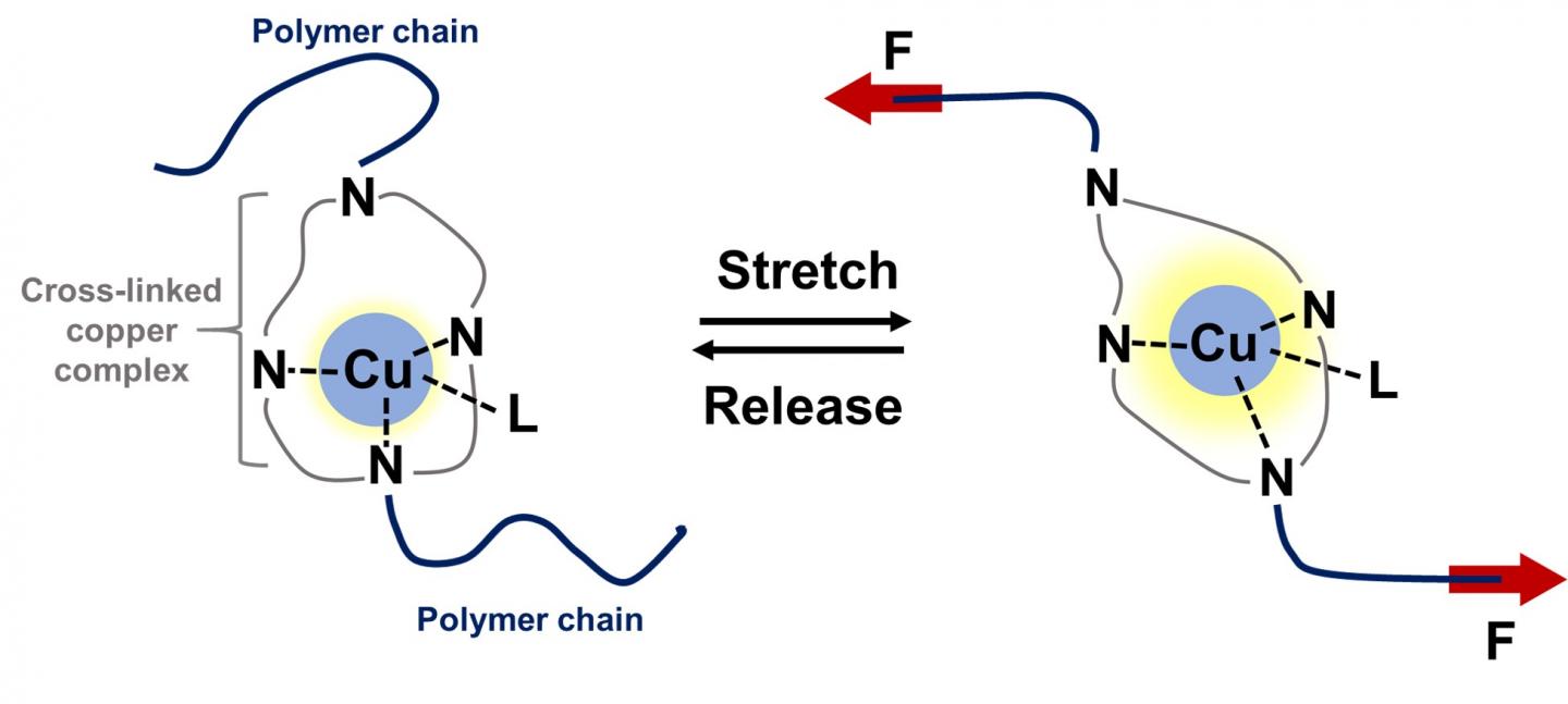 Photoluminescent polymer detects stress quickly with high sensitivity, OIST.