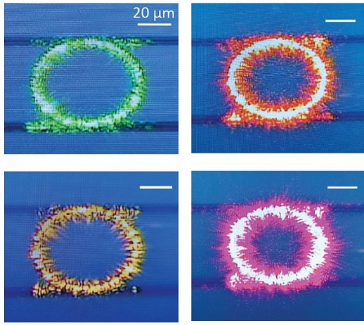 Series of nanophotonic resonators, each slightly different in geometry, generates different colors of visible light from the same near-infrared pump laser. Courtesy of NIST.