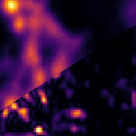 A 3 µ microns x 3 µ confocal scan of microtubules in a fixed 3T3 cell labelled with quantum dots analyzed in two ways. Upper left: image scanning microscopy (ISM), lower right: super-resolution optical fluctuation image scanning microscopy (SOFISM) after Fourier-reweighting. Courtesy of the University of Warsaw.