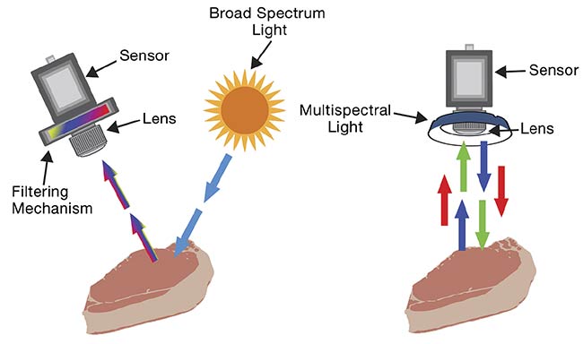Figure 2. A system that uses a broad spectrum light source and a spectral camera system (left). A system that uses a monochrome camera and a multispectral lighting system to cycle through the various wavelength bands (right).
