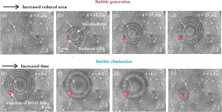 In situ optical microscopic images showing the process of the microbubble generation and elimination. Courtesy of H. Lin et al.
