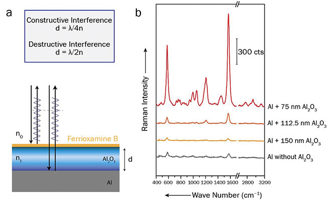 Figure 1. A layer stack of aluminum and aluminum oxide, causing an optical path difference for the beams reflected from the first and second interfaces (a). Raman spectra of ferrioxamine B recorded on aluminum chips coated with various thicknesses of aluminum oxide (b). Courtesy of Susanne Pahlow.