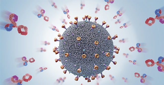Antibodies attack a virus pathogen cell. Courtesy of iStock.com/Christoph Burgstedt.