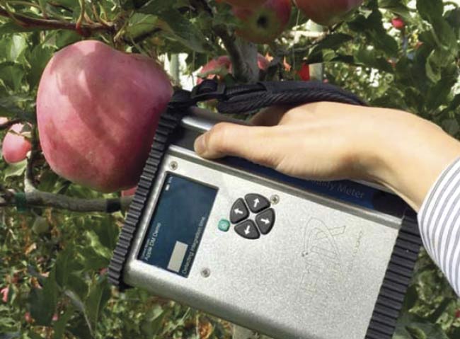Figure 3. Hand-held reflectance-based spectrometers are changing the dynamics of sample testing on the farm. These produce scanners are expected to make their way into grocery stores within the next five years. Courtesy of Felix Instruments.