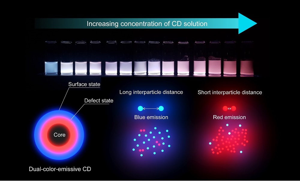 Photoluminescence change of dual-color-emissive carbon dots (CDs) depending on their concentration. Blue- and red-emissions show different contributions with different interparticle distances. Courtesy of Professor Do Hyun Kim, KAIST.