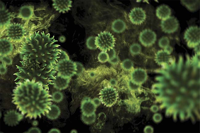 A 3D rendering of green virus cells. Courtesy of iStock.com/matejmo.